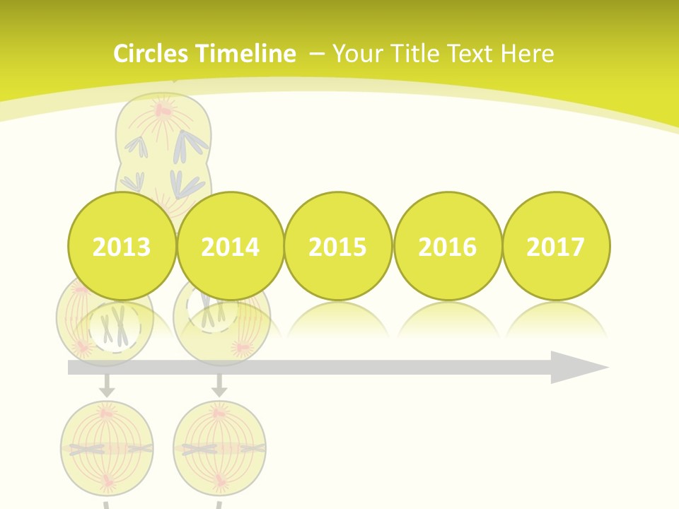 Organelle Cycle Tissue PowerPoint Template