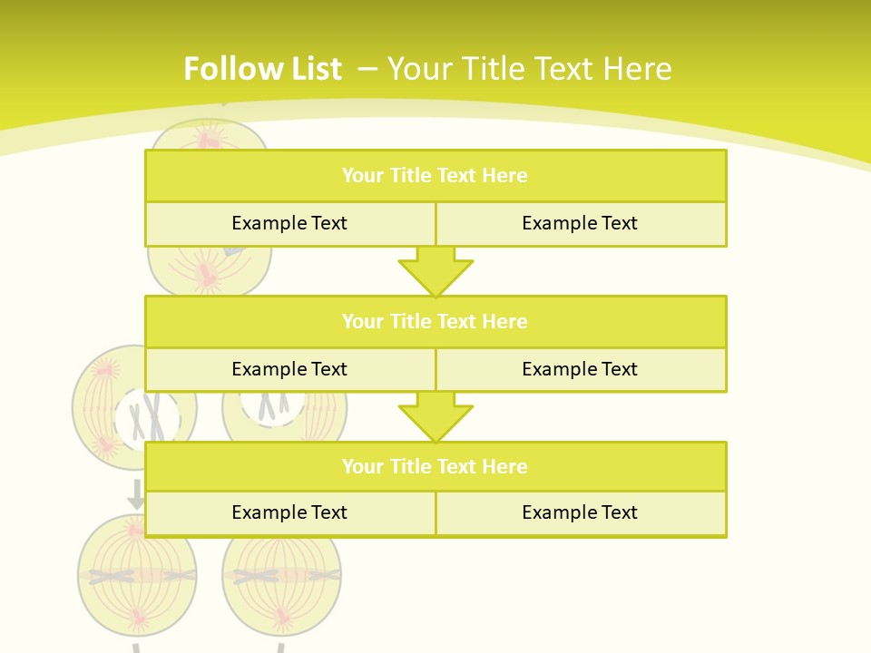 Organelle Cycle Tissue PowerPoint Template