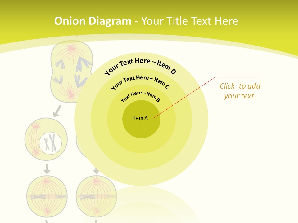 Organelle Cycle Tissue PowerPoint Template