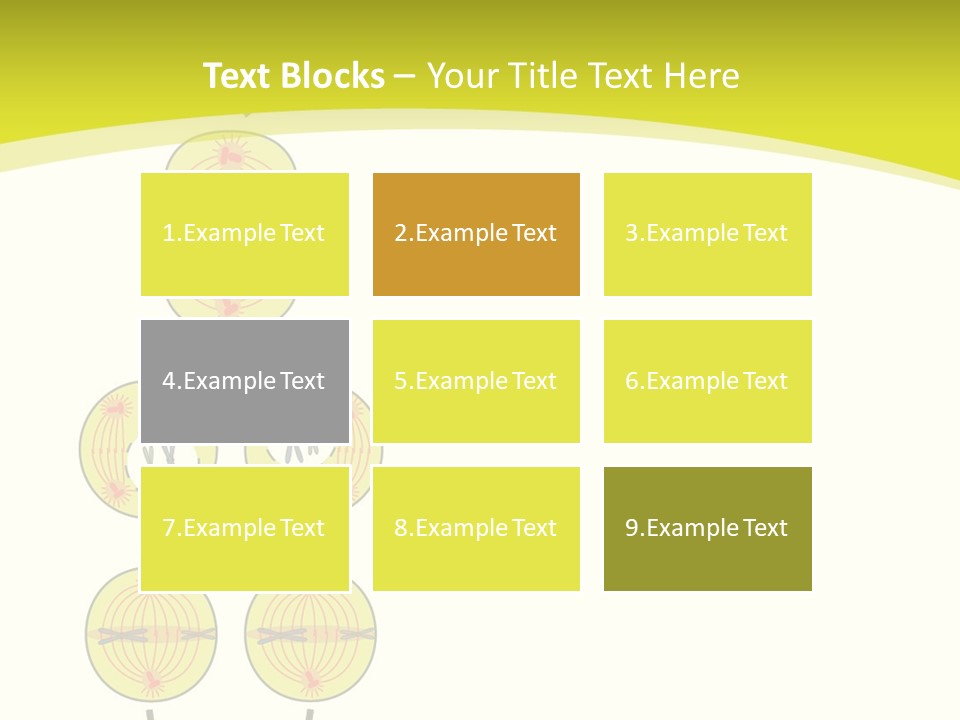 Organelle Cycle Tissue PowerPoint Template