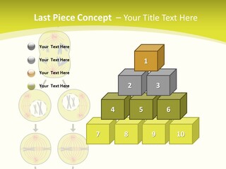 Organelle Cycle Tissue PowerPoint Template