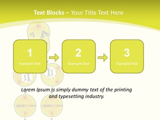 Organelle Cycle Tissue PowerPoint Template