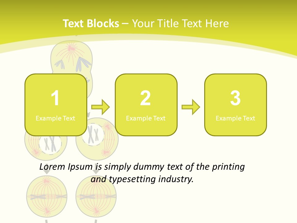 Organelle Cycle Tissue PowerPoint Template
