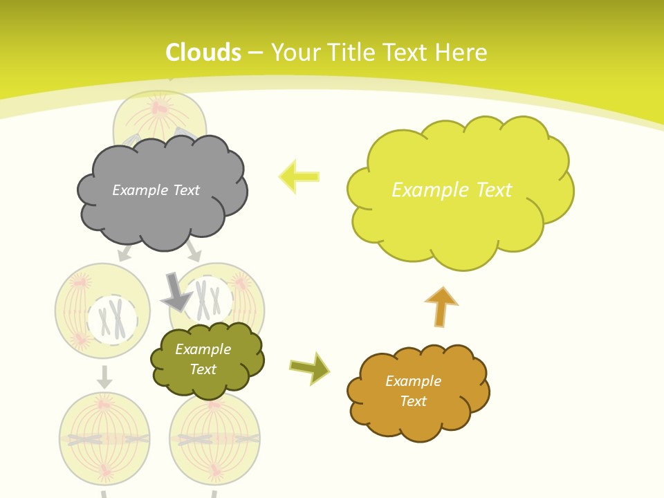 Organelle Cycle Tissue PowerPoint Template