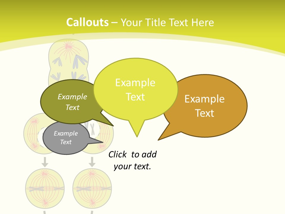 Organelle Cycle Tissue PowerPoint Template