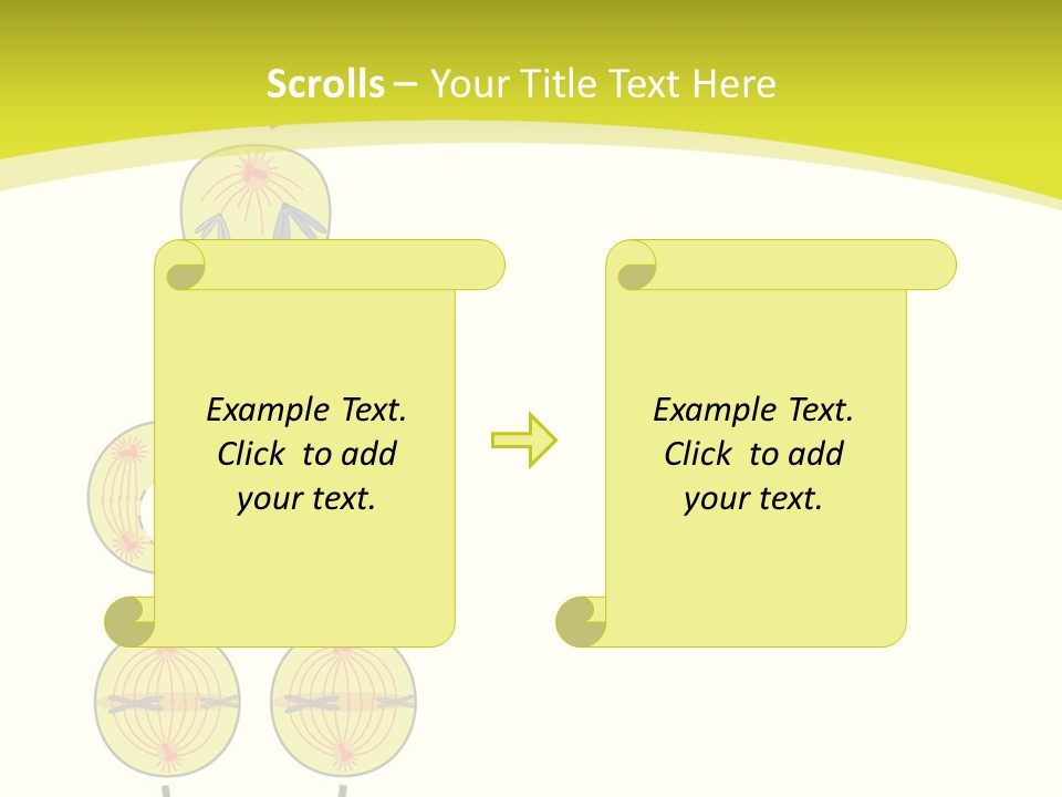 Organelle Cycle Tissue PowerPoint Template
