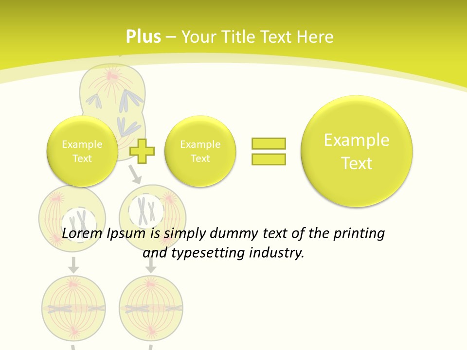 Organelle Cycle Tissue PowerPoint Template
