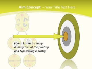 Organelle Cycle Tissue PowerPoint Template