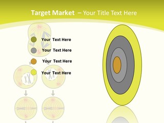 Organelle Cycle Tissue PowerPoint Template