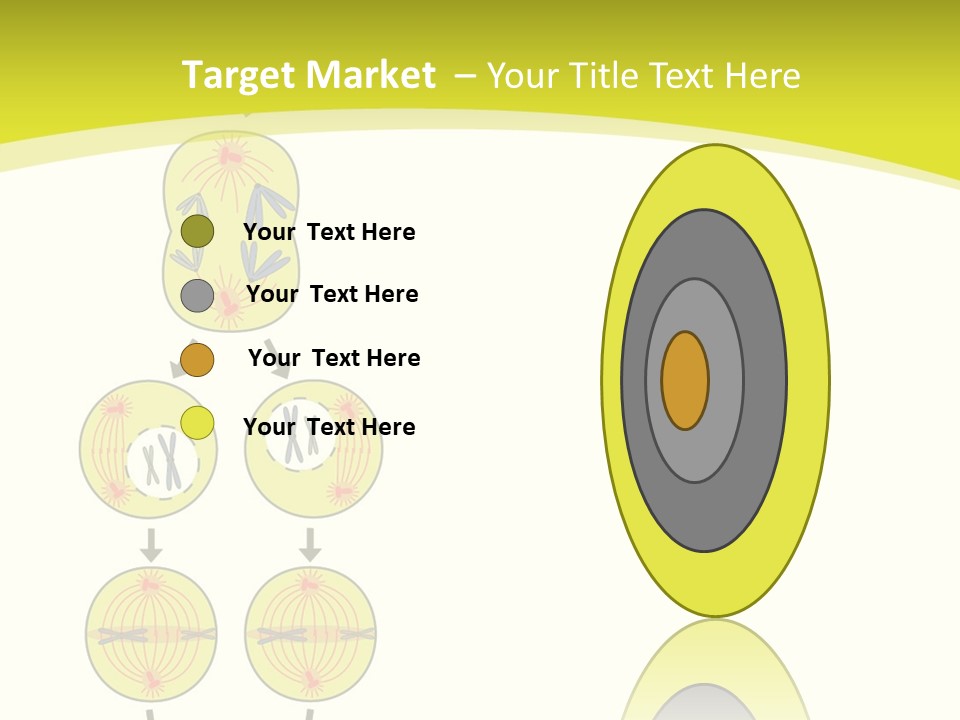 Organelle Cycle Tissue PowerPoint Template