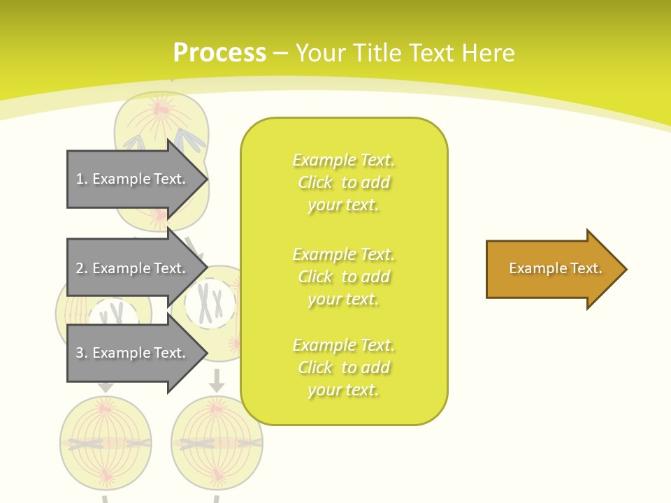 Organelle Cycle Tissue PowerPoint Template