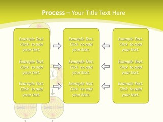 Organelle Cycle Tissue PowerPoint Template