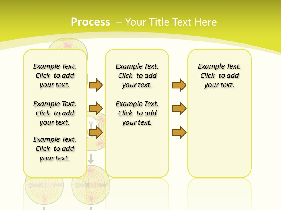 Organelle Cycle Tissue PowerPoint Template
