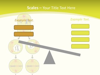 Organelle Cycle Tissue PowerPoint Template