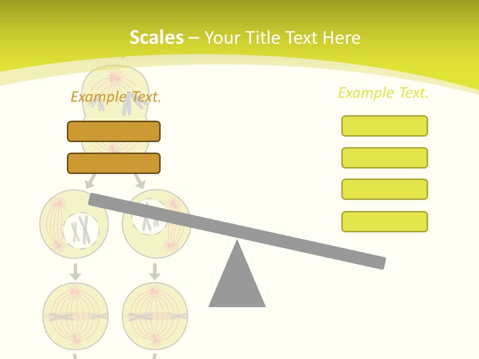 Organelle Cycle Tissue PowerPoint Template