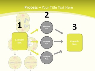 Organelle Cycle Tissue PowerPoint Template