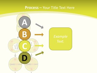 Organelle Cycle Tissue PowerPoint Template