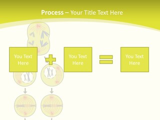 Organelle Cycle Tissue PowerPoint Template