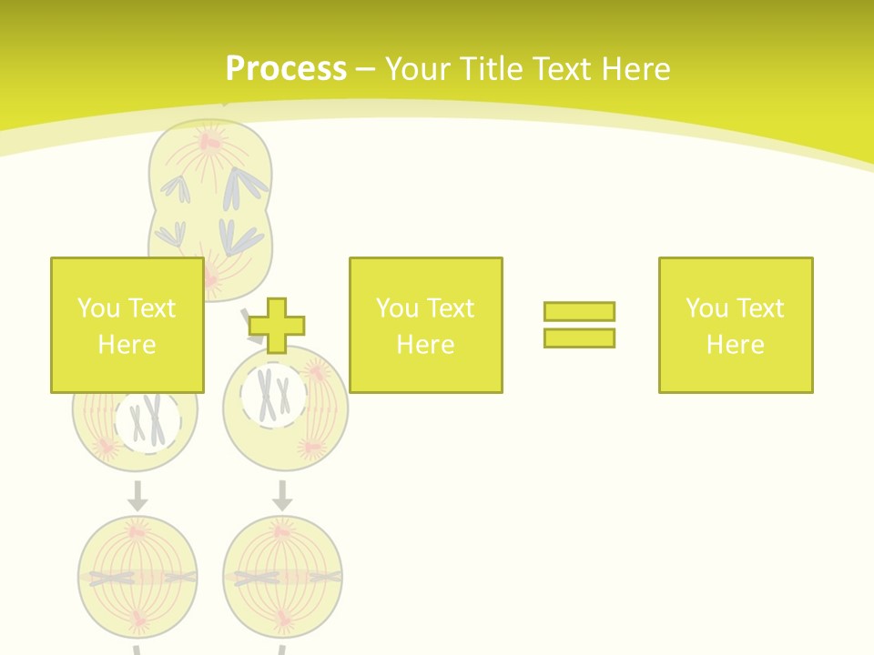 Organelle Cycle Tissue PowerPoint Template