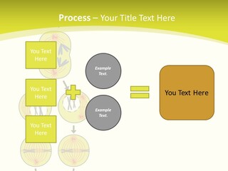 Organelle Cycle Tissue PowerPoint Template