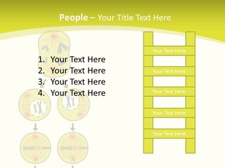 Organelle Cycle Tissue PowerPoint Template