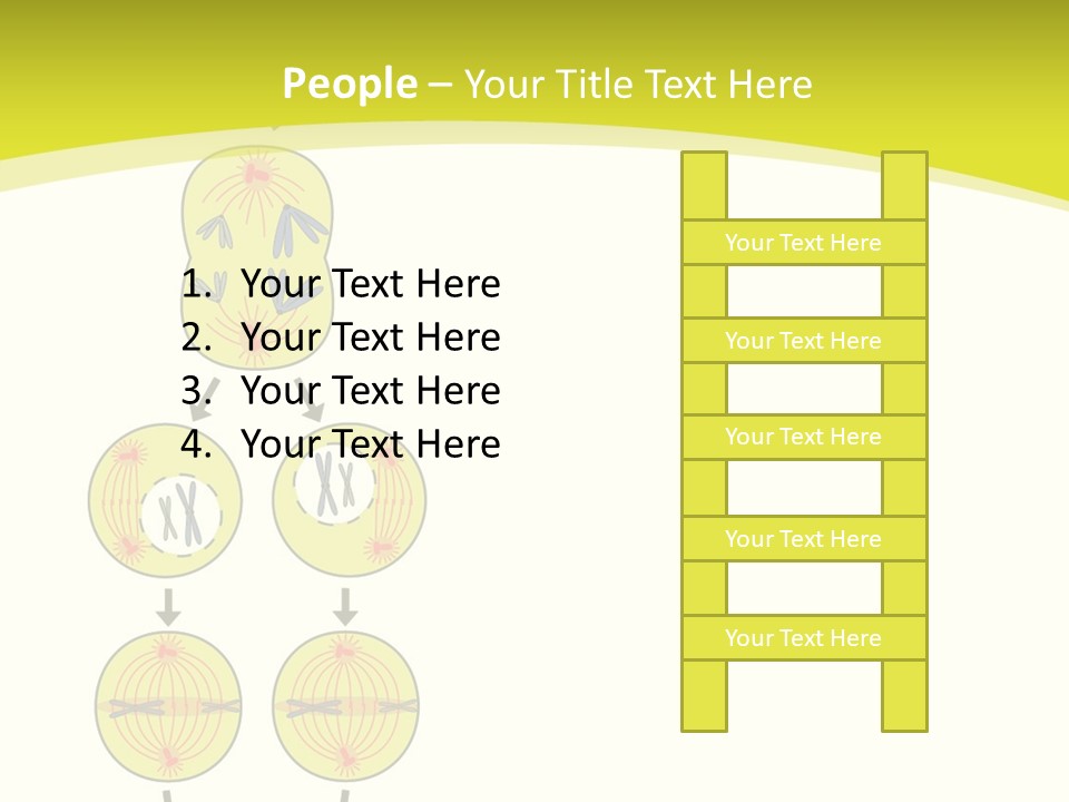 Organelle Cycle Tissue PowerPoint Template
