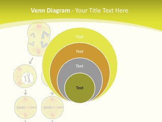 Organelle Cycle Tissue PowerPoint Template