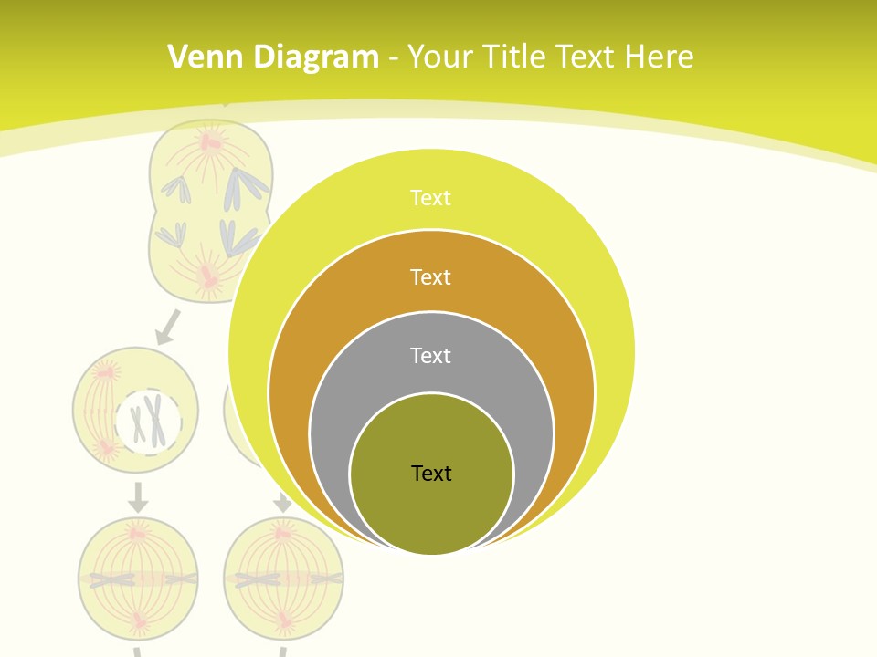 Organelle Cycle Tissue PowerPoint Template