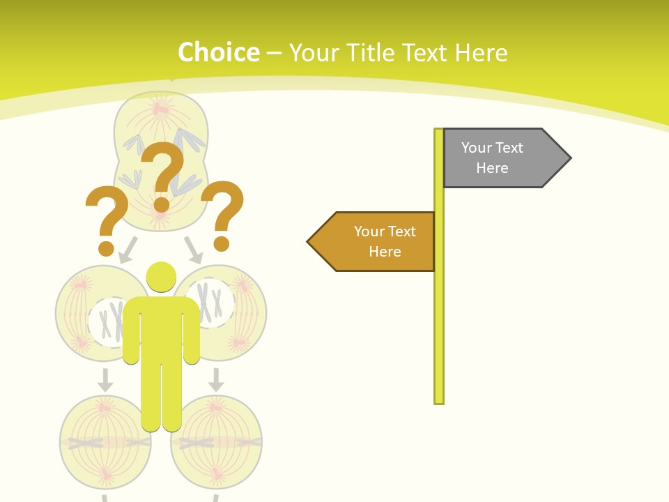 Organelle Cycle Tissue PowerPoint Template