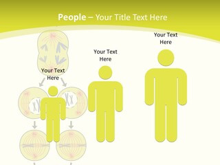 Organelle Cycle Tissue PowerPoint Template