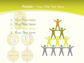 Organelle Cycle Tissue PowerPoint Template