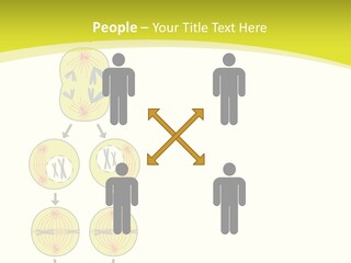 Organelle Cycle Tissue PowerPoint Template