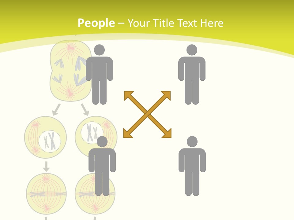 Organelle Cycle Tissue PowerPoint Template