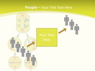 Organelle Cycle Tissue PowerPoint Template