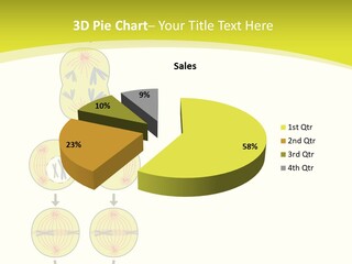 Organelle Cycle Tissue PowerPoint Template
