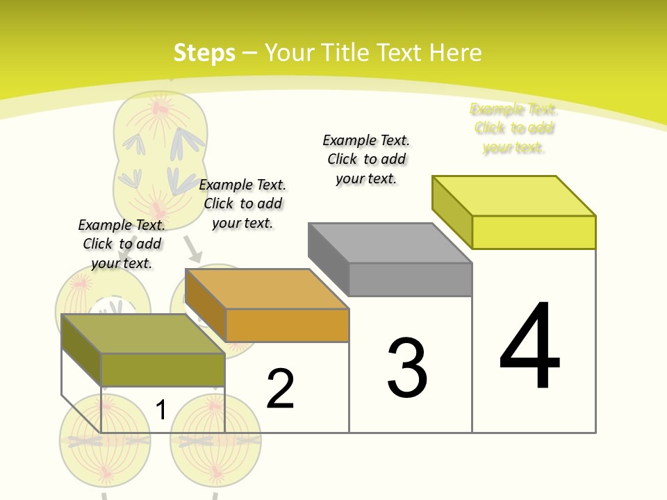 Organelle Cycle Tissue PowerPoint Template