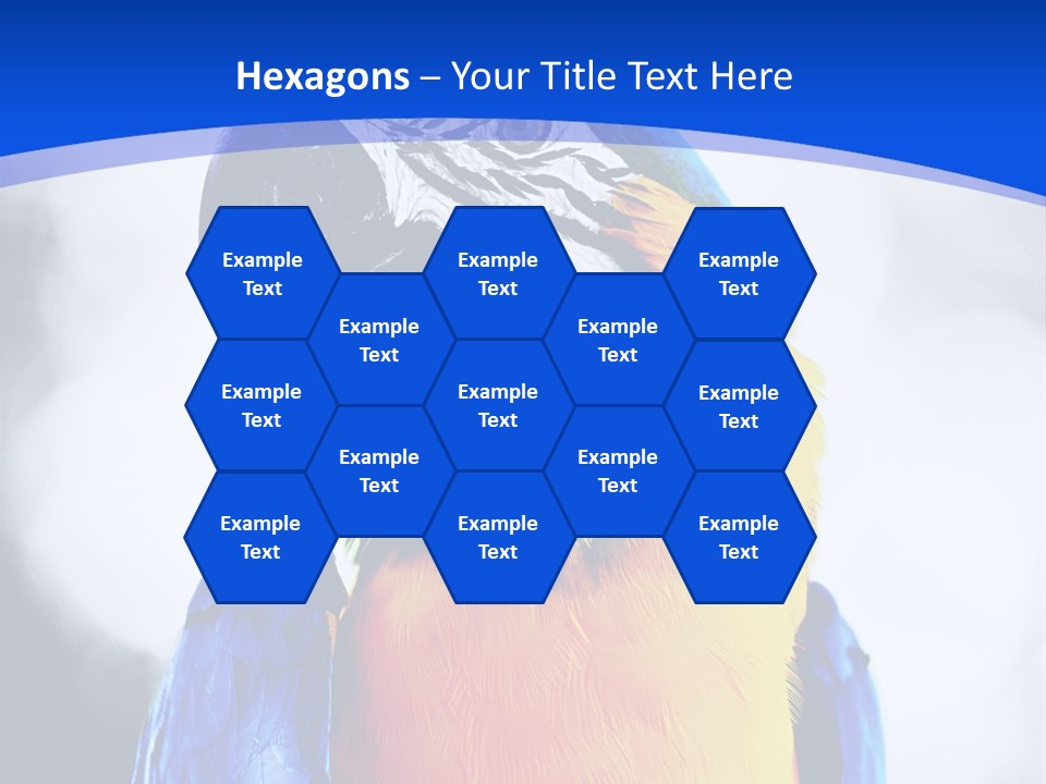 Forever Kid Wife PowerPoint Template