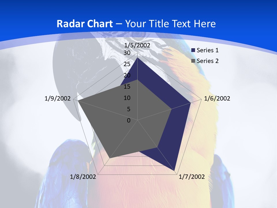 Forever Kid Wife PowerPoint Template