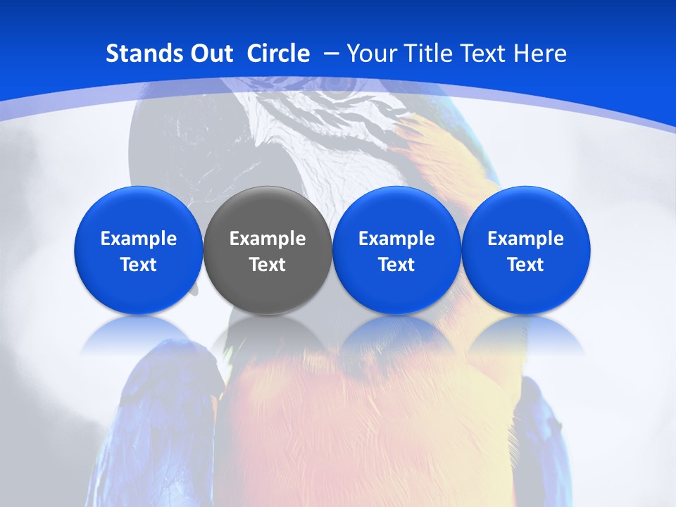 Forever Kid Wife PowerPoint Template