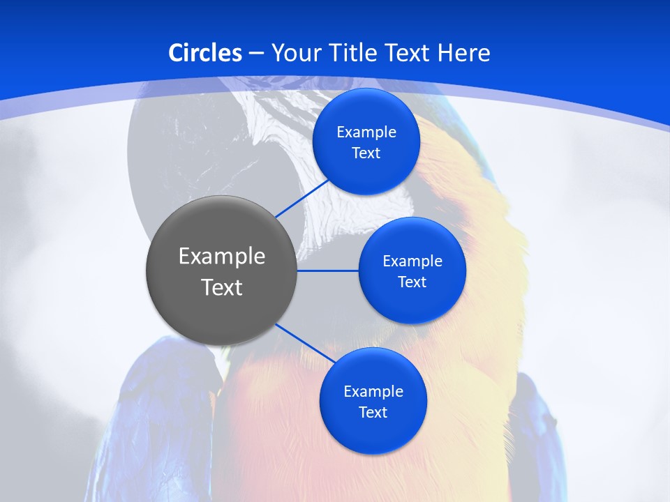 Forever Kid Wife PowerPoint Template