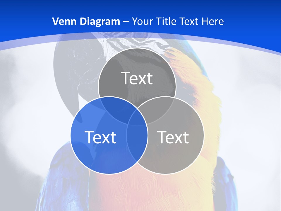 Forever Kid Wife PowerPoint Template