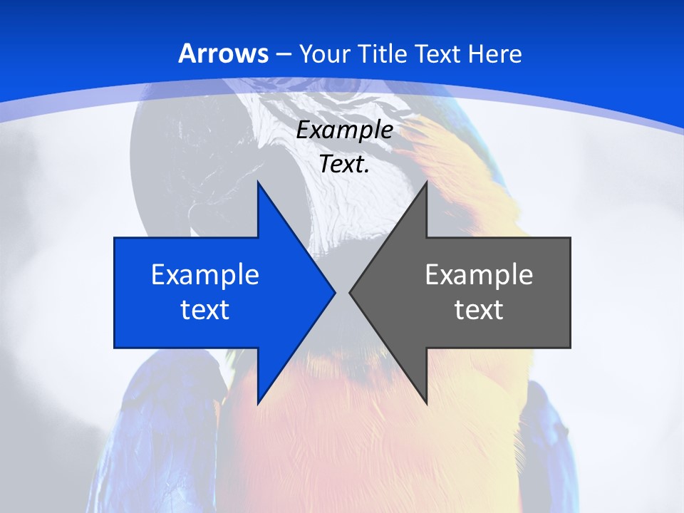 Forever Kid Wife PowerPoint Template