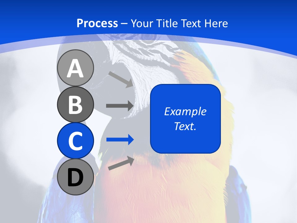 Forever Kid Wife PowerPoint Template