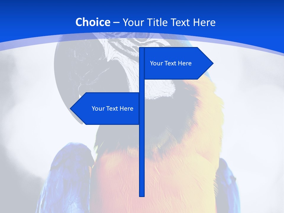 Forever Kid Wife PowerPoint Template