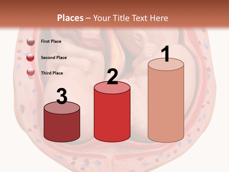 The Inside Of A Human Body With A Baby Inside Of It PowerPoint Template