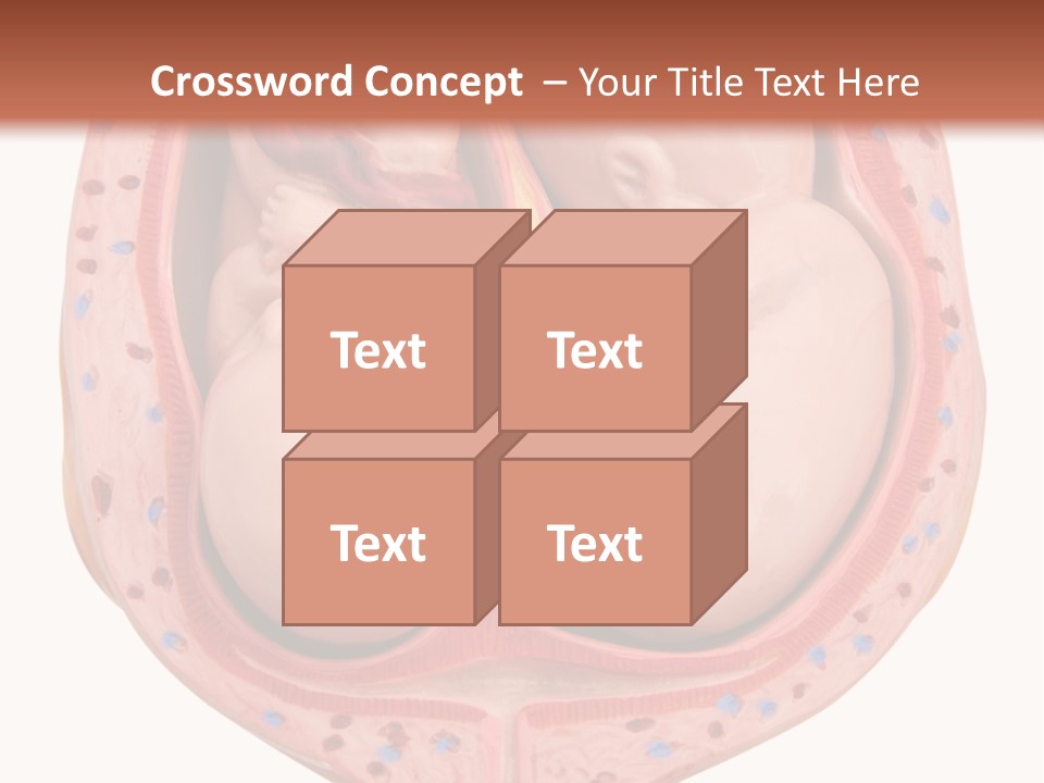 The Inside Of A Human Body With A Baby Inside Of It PowerPoint Template