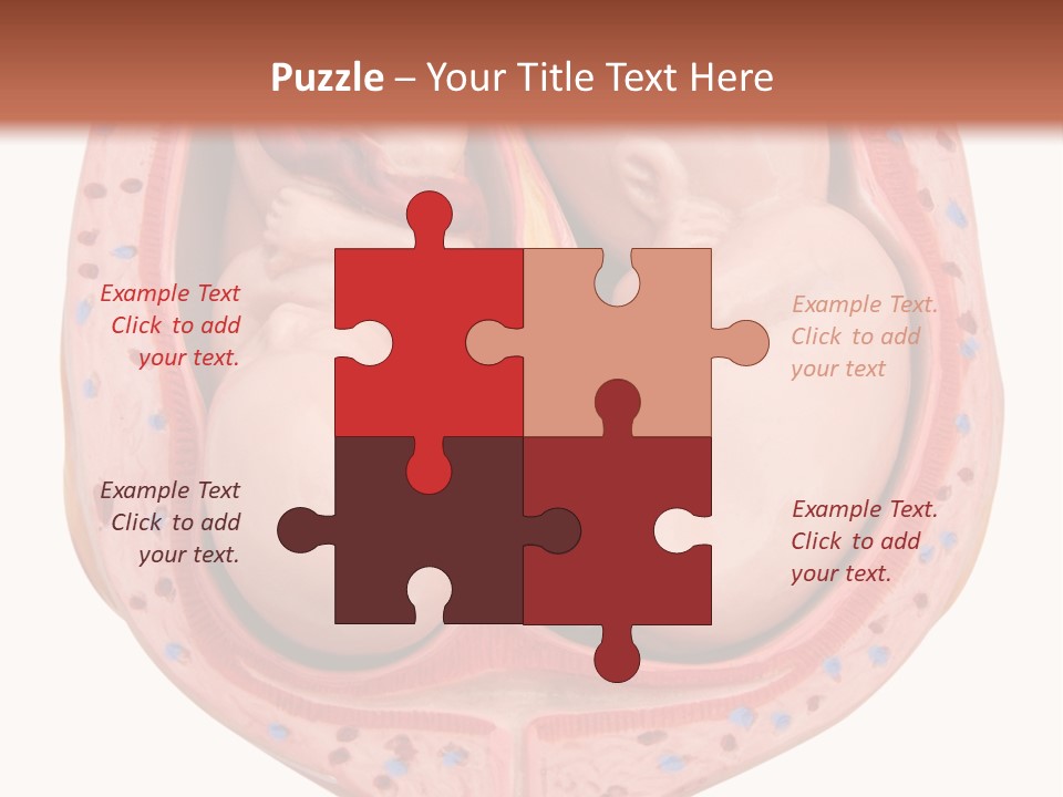 The Inside Of A Human Body With A Baby Inside Of It PowerPoint Template