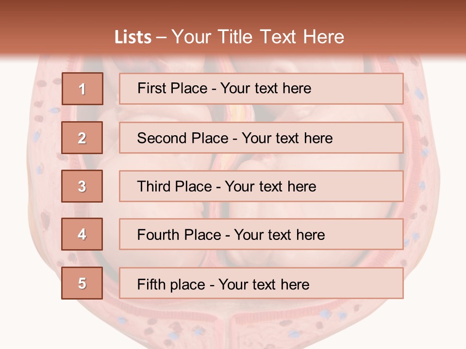 The Inside Of A Human Body With A Baby Inside Of It PowerPoint Template