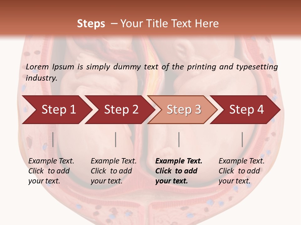 The Inside Of A Human Body With A Baby Inside Of It PowerPoint Template
