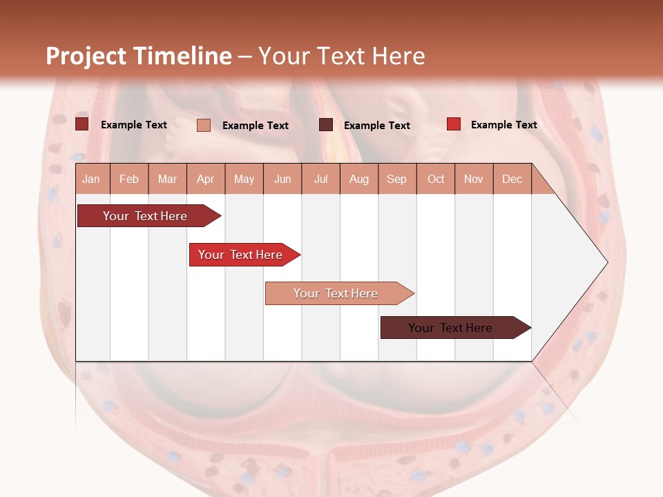 The Inside Of A Human Body With A Baby Inside Of It PowerPoint Template